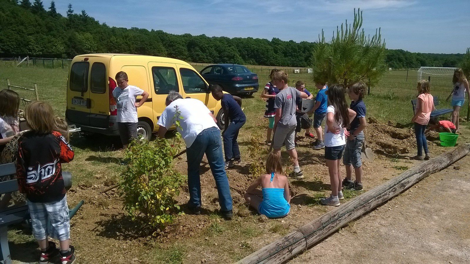 La journée de l'arbre avant l'entrée au collège sous un soleil radieux