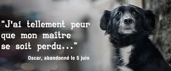 La valse des abandons débute